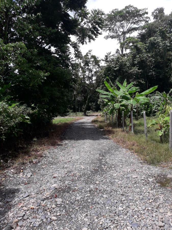 Casa Arlecchino Leilighet Puerto Viejo de Talamanca Eksteriør bilde